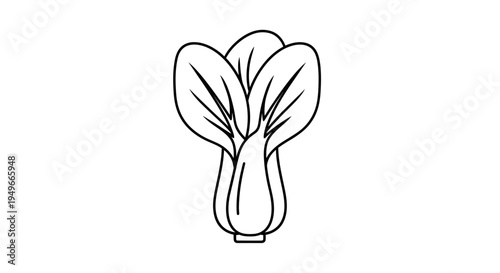 Bok Choy Outline Icon - Fresh Leafy Green Vegetable, Healthy Food Illustration