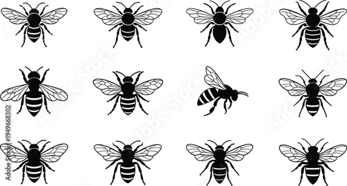 Bee silhouette set, honey bee insect vector collection, flying pollinator bee icons isolated, black bee clipart nature illustration pack