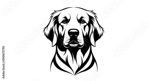 Golden retriever dog portrait black and white illustration isolated