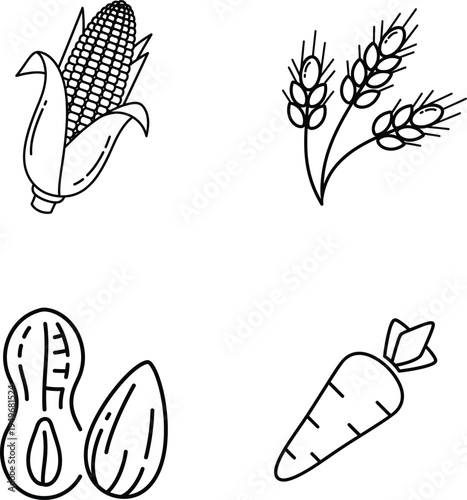 Illustrations of various vegetables and grains