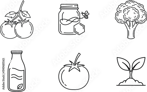 Vegetables and food preservation illustrations