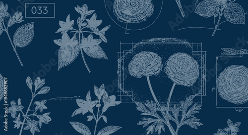 Botanical blueprint illustration of flowers and foliage on dark blue background