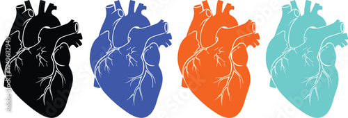 Human Heart Anatomy Color Variations Set Medical Cardiovascular Organ Illustration Isolated Vector Graphic Collection