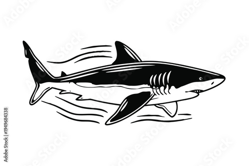 Illustration of a Great White Shark swimming in the ocean.