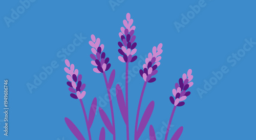 Minimalist graphic design featuring elegant lavender flower blossoms in various purple hues, contrasting beautifully with a peaceful blue background