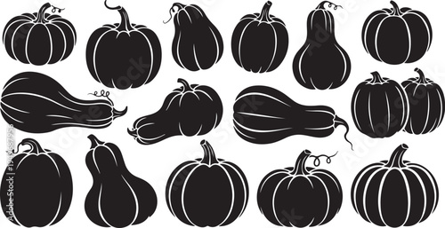 Black and white illustration of various pumpkin shapes collection