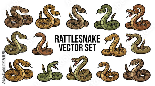 Detailed vintage rattlesnake vector set. Colored engraved style venomous snake collection, striking and coiled wild reptiles illustration.
