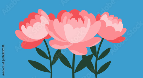 Delicate pink peony flower illustration with green leaves on a serene blue background, a beautiful botanical artwork