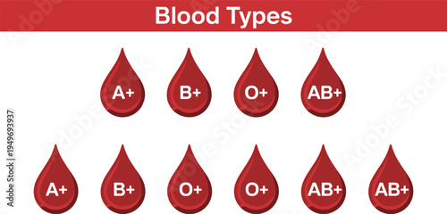Blood types infographic with red blood drop icons A plus B plus O plus AB plus medical donation concept