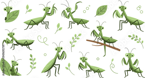 Cute green praying mantis character set in various friendly poses with leaves and branches for nature education, children books, and garden mascot vector design.