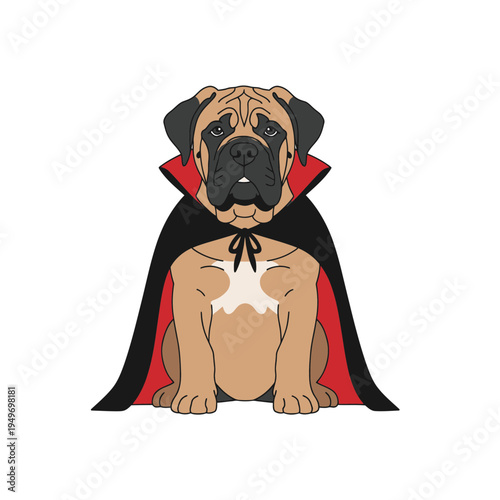 Bullmastiff Dog Wearing a Vampire Cape vector illustration