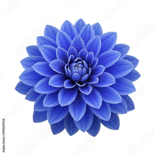 A vibrant and detailed close-up of a single blue dahlia flower in full bloom isolated on transparent background