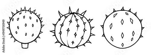 Whole prickly pear cactus fruit set with flat vector icon and bold black borders featuring exotic fruit, cactus, illustration, vector, desert