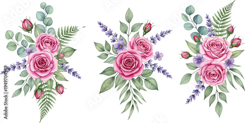 Beautiful watercolor pink roses and lavender floral bouquets with eucalyptus and fern leaves on a clean white background, delicate illustration.