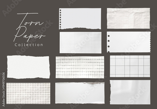 Torn Paper Textures Template Element Design Set