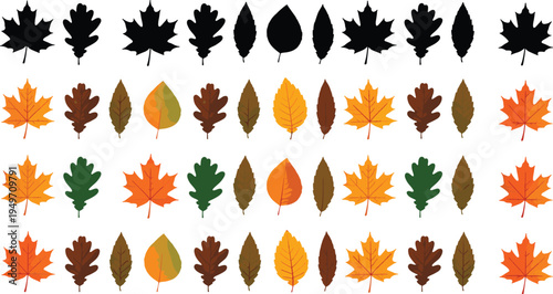 Autumn leaves, fall foliage, leaf shapes, seasonal colors, nature pattern, botanical design, silhouette leaves, maple oak, educational grid, vibrant display
