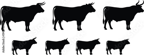Black bull silhouettes set, cattle livestock collection, farm animal shapes, bovine icons, agricultural design elements, isolated vector illustration