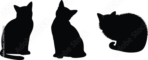 Black cat silhouettes in different sitting postures, smooth outline, fluffy fur texture, curled tails, isolated vector illustration design
