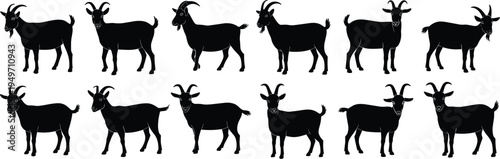 Black goat silhouettes collection, farm animal illustrations, livestock icons, horned goats vector set, domestic animals graphic design