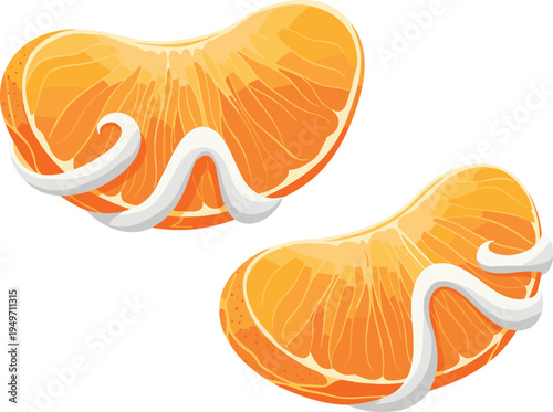 Citrus Fruit Mega Vector Set Featuring Oranges Lemons and Mandarins with Whole Fruits Sliced Halves Wedges and Leaves in Detailed Etched Style for Juice Branding