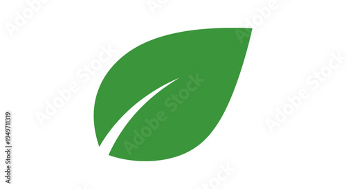 Simple green leaf icon on clean white background