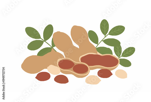 Fresh Peanut with Green Leaf Flat Vector Illustration