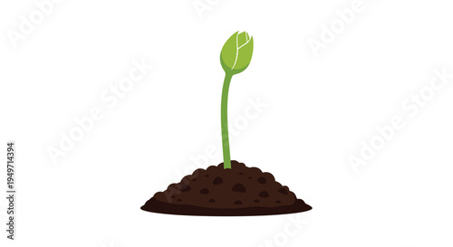 Small green plant sprout growing out of a pile of rich dark brown soil on a clean white background symbolizing life and new organic beginnings.