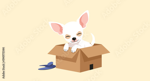Tiny white chihuahua puppy with big ears sits comfortably inside a brown cardboard box on a plain cream background.