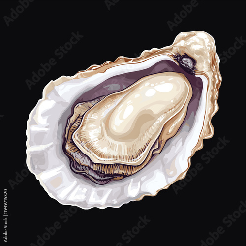 Open oyster with pearl isolated on dark background. , vector style simple color