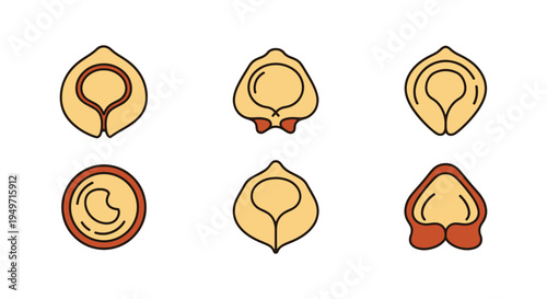 Tortellini Line art vector modern smooth abstract color