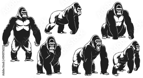 Gorilla Set: Diverse Poses of Powerful Apes in Black and White Vector Art