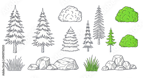 Hand-drawn Forest Elements: Pine Trees, Bushes, Grass, and Rocks