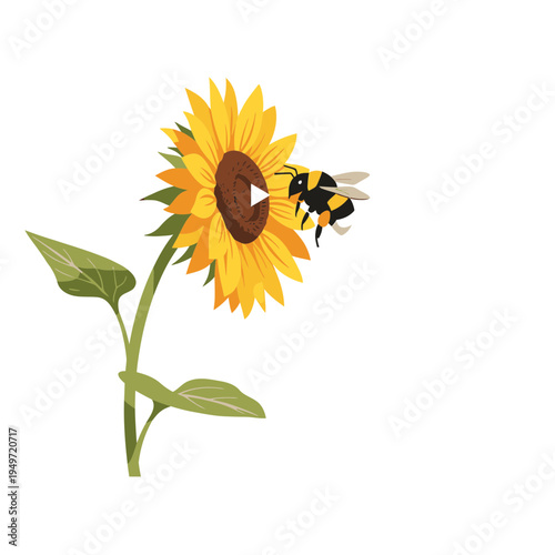Sunflower with a Bumblebee vector illustration