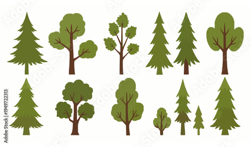 Cartoon Forest Tree Set Deciduous and Coniferous Trees Vector Illustration