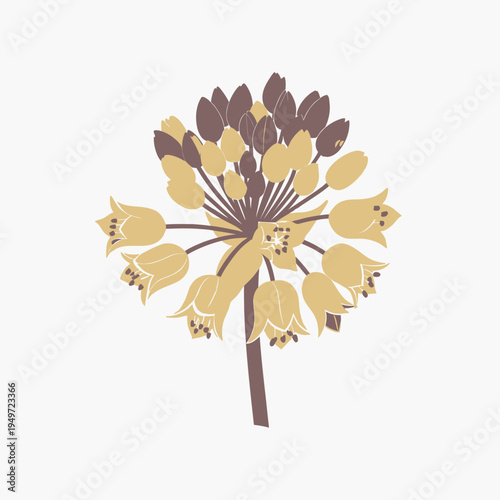 Allium Flower Graphic Element Isolated on White vector illustration