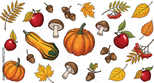 Cozy Autumn Harvest Illustration Set with Pumpkins Squash Red Apples Mushrooms Acorns Rowan Berries Fall Leaves and Woodland Elements for Seasonal Nature Thanksgiving and Organic Designs