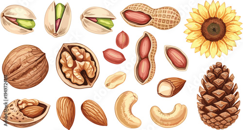 Mixed Nuts and Seeds Watercolor Illustration Set with Pistachios Peanuts Walnuts Almonds Cashews Sunflower Pine Nuts and Pine Cone for Healthy Snack Nutrition Organic Food Designs