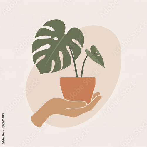 Hand Holding Potted Monstera Plant.
