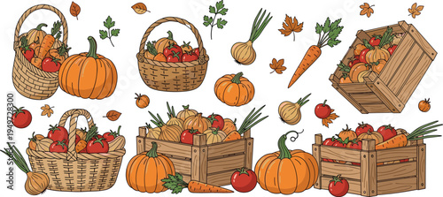 Comprehensive Hand Drawn Vector Collection Featuring Baskets and Wooden Crates Filled with Pumpkins Tomatoes Carrots and Onions for Seasonal Autumn Harvest Design Projects