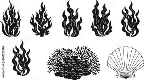 Underwater seaweed coral reef and seashell silhouettes vector set, marine ocean plants and aquatic life elements collection