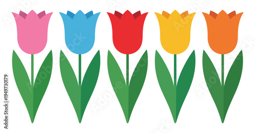 Colorful Tulip Flower Set in a Straight Row Vector Illustration