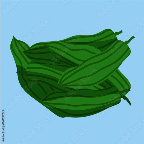 Flat Illustration of a Pile of Fresh Green Bitter Melons (Pare) Grouped Together