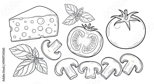 Hand-Drawn Ingredients for Pizza: Cheese, Tomato, Basil, Mushrooms