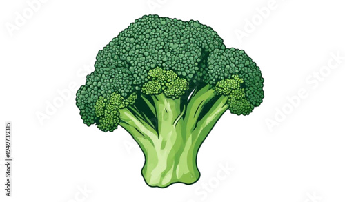 A vibrant green broccoli floret on a clean white background