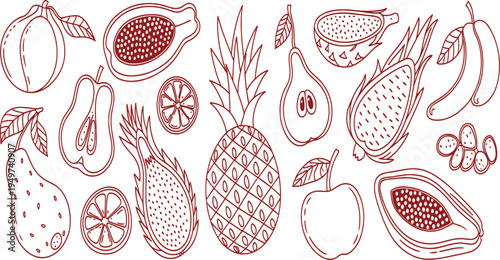 Hand drawn tropical fruit vector set, including pineapple, papaya, dragon fruit, and pear in doodle line art