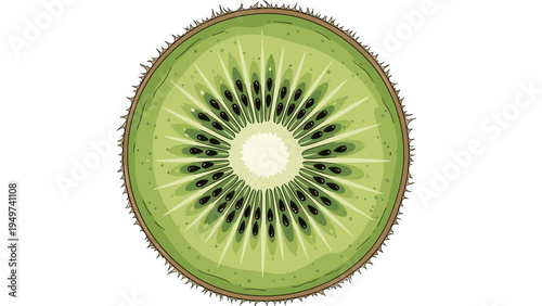 Sliced Kiwi Fruit Cross Section - Healthy Food Ingredient Design Element
