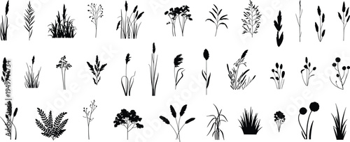 Collection of Wild Grass and Botanical Plant Silhouettes Isolated on White Background, Natural Meadow Foliage Clipart Set for Design, Decoration, and Branding Use