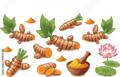Turmeric Root and Lotus Flower Vector Set with Mortar, Pestle, Sliced Rhizomes, and Piles of Spice for Holistic Wellness, Spa Branding, and Ayurvedic Medicine Designs