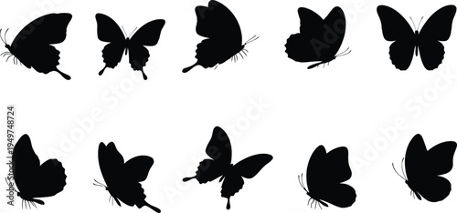 Collection of black butterfly silhouettes on white background