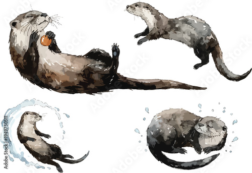 set of Hand-Painted Otter Watercolor, Adorable River Wildlife Clipart, Isolated Vector